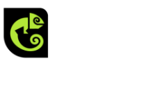 Asset 7@4x.png